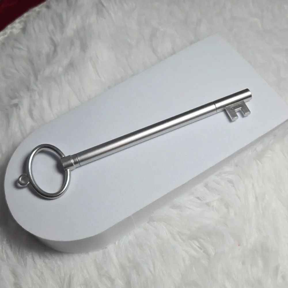 Skeleton Key Ballpoint Pen – Silver Decorative Writing Pen Gothic Desk Accessory